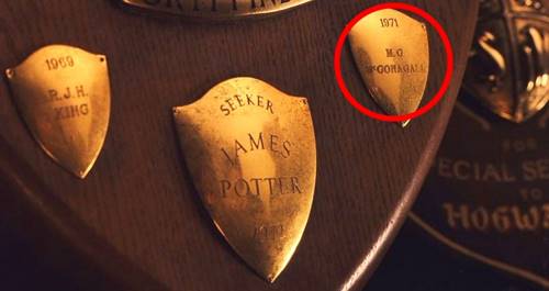 11 неочевидных деталей из «Гарри Поттера», узнав о которых ты упадешь с метлы