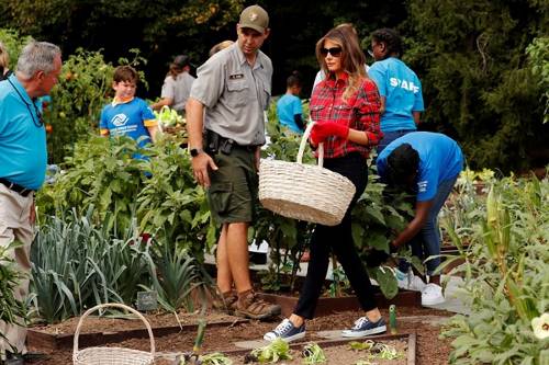 «Первая огородница США»: в Сети высмеяли фото Меланьи Трамп годовой давности