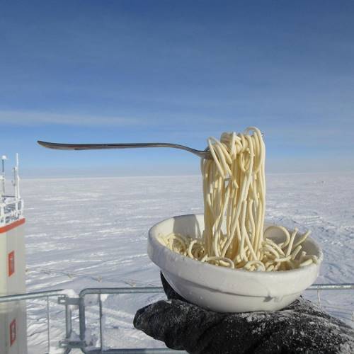13 человек находятся в треклятой холодной, голодной Антарктиде. Вот как они выживают в этом забытом богом крае!