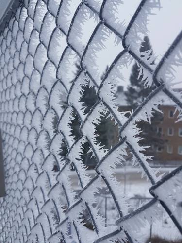 18 чудных фотографий зимы, к которой мы не были готовы