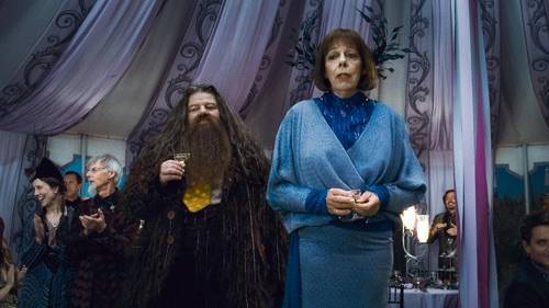 «Гарри Поттер» + «Игра престолов»: 12 актеров, которые сыграли в экранизациях обеих саг