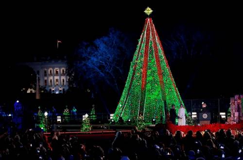 Ослепительная Меланья Трамп зажгла огоньки на главной елке США (и просто зажгла)