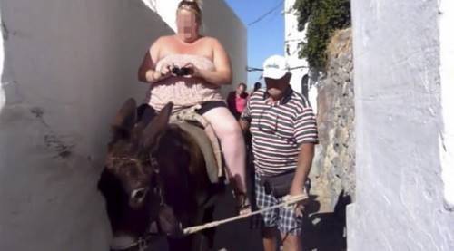 Власти Санторини запретили тучным туристам кататься на ослах