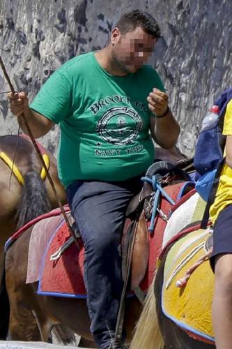 Власти Санторини запретили тучным туристам кататься на ослах